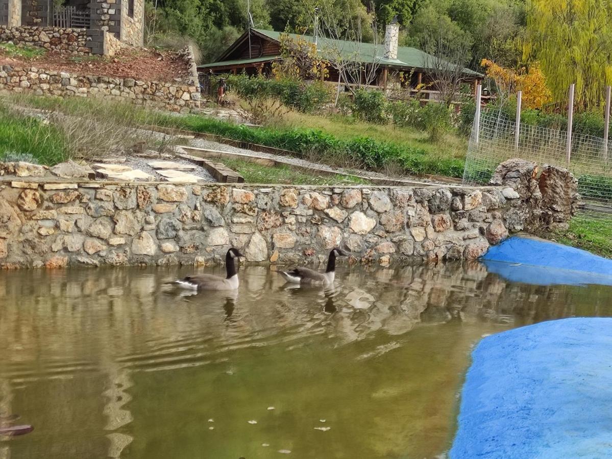 Oneiropagidasuites Kalavryta Exterior foto